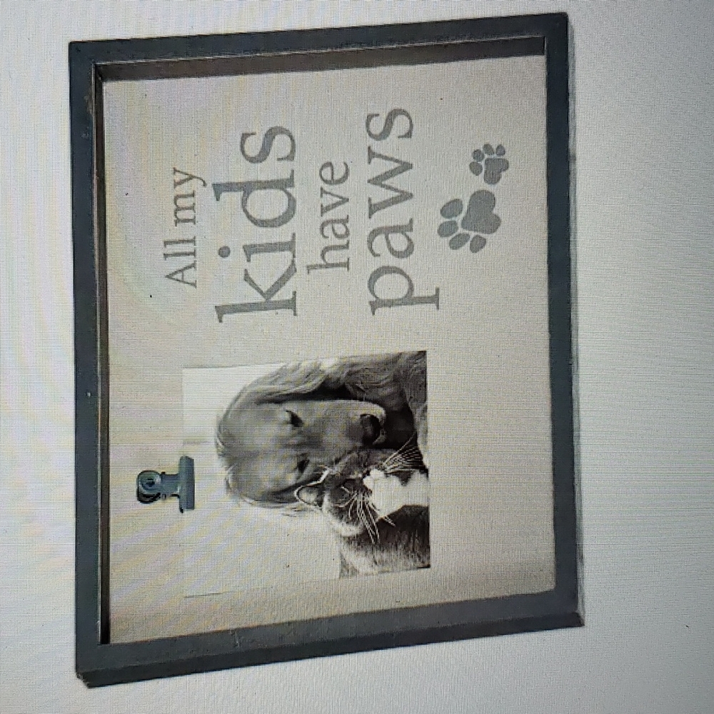 Pets ALL MY KIDS HAVE PAWS Picture Frame